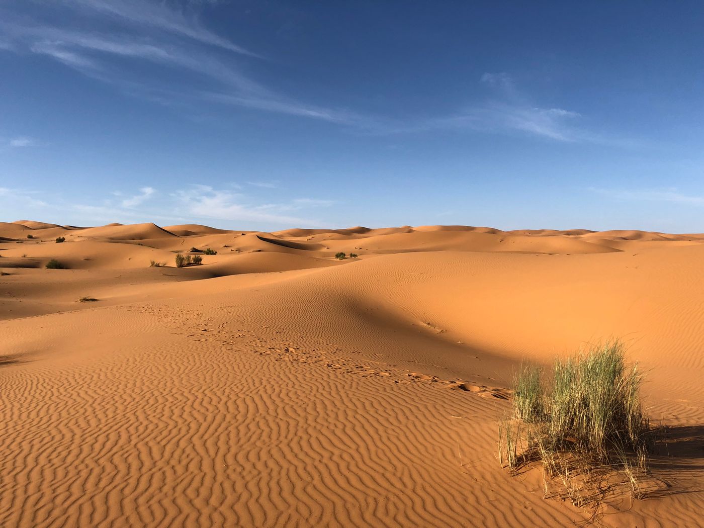 Open desert terrain in the Sinai